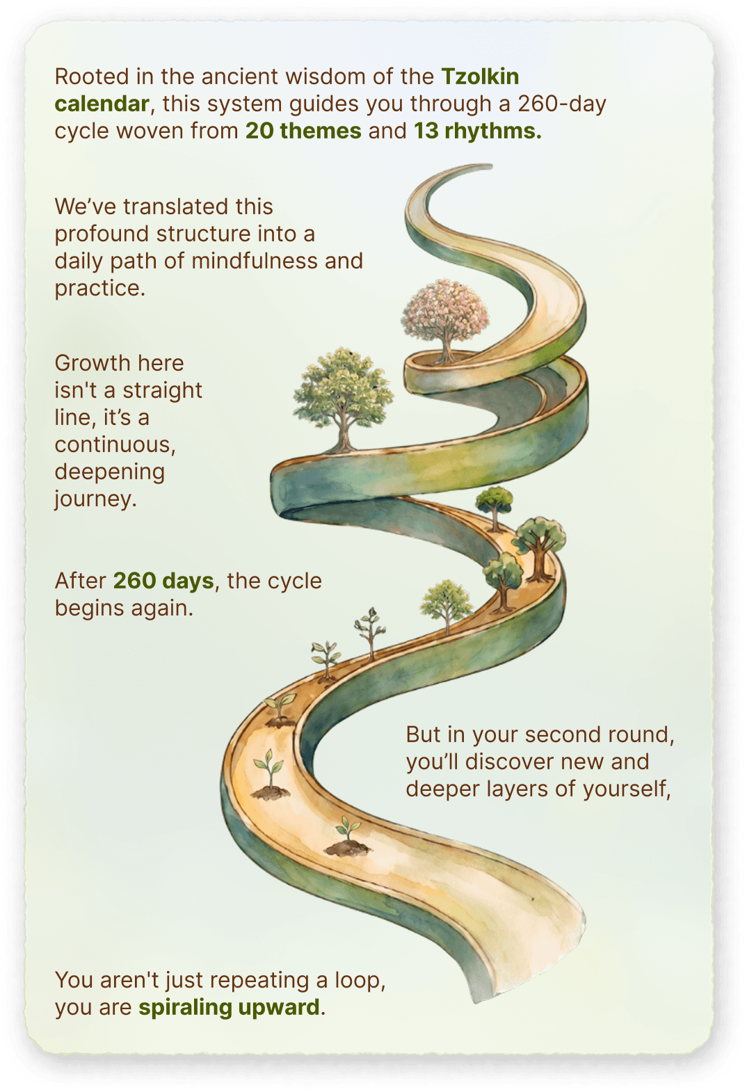 Infographic about the Tzolkin calendar, growth journey, and daily practice in Sync Garden